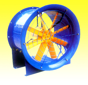 BYG�͵����S��